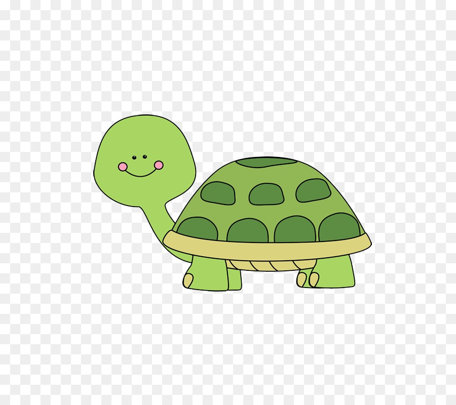 Tortue Et Escargot De Dessin Animé，Animal PNG