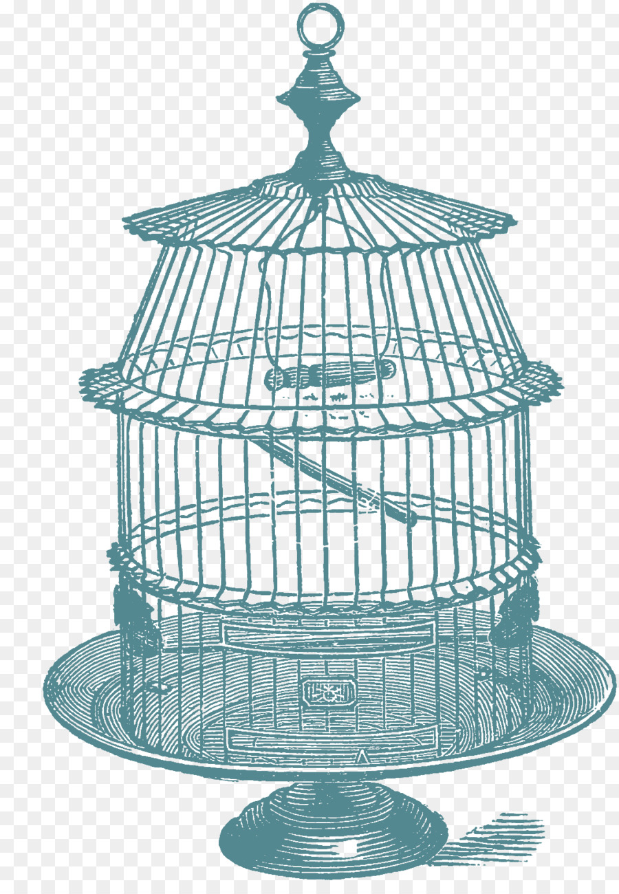 Cage à Oiseaux，Oiseau PNG