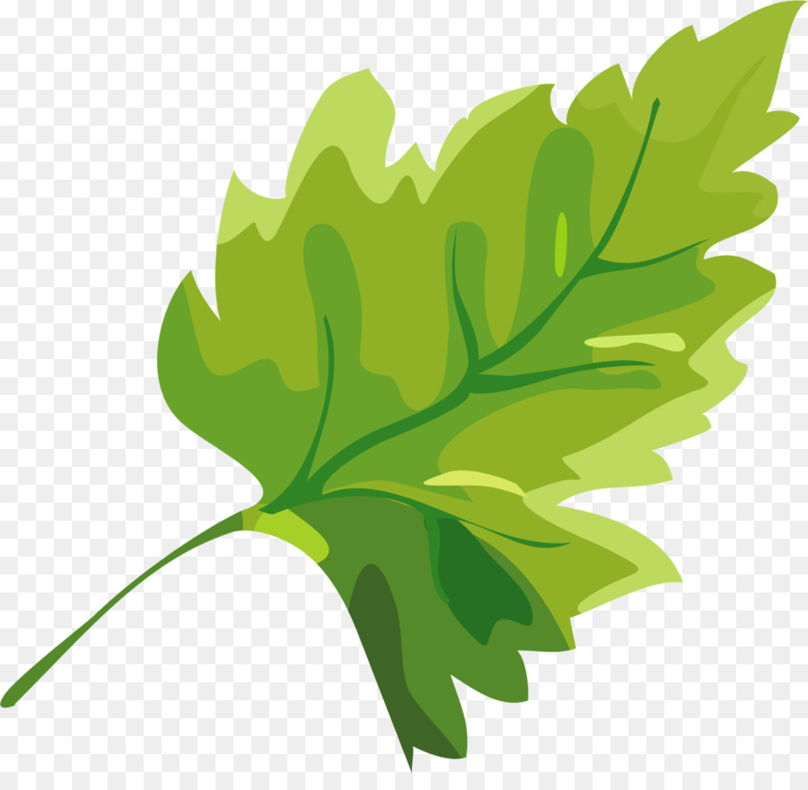 Feuille Verte，Nature PNG