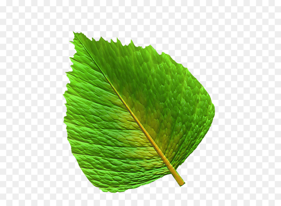 Feuilles Vertes，Feuillage PNG