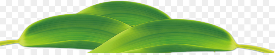 Feuille，Tige De La Plante PNG