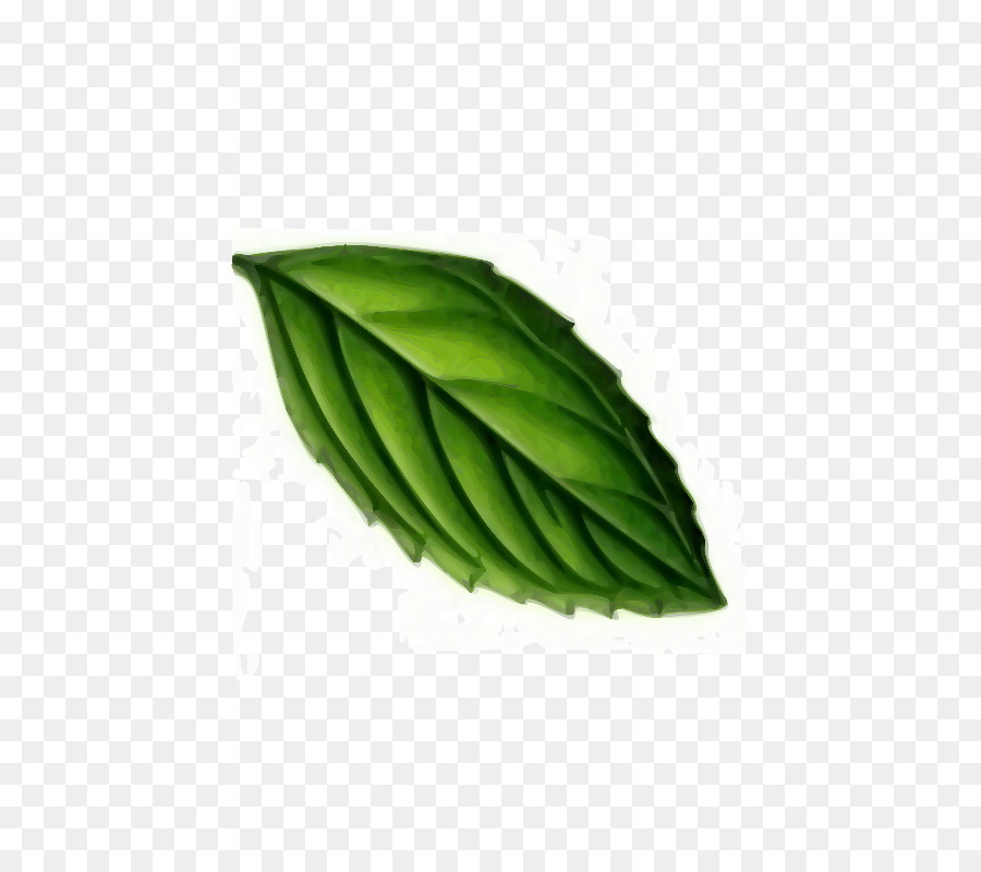 Feuille Verte，Nature PNG