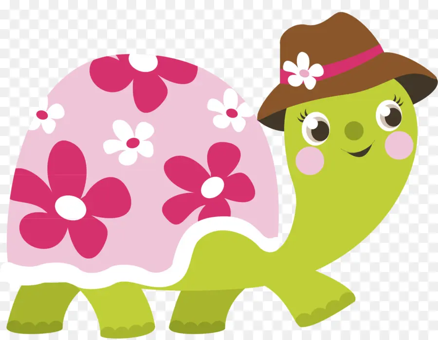 Tortue，Chapeau PNG