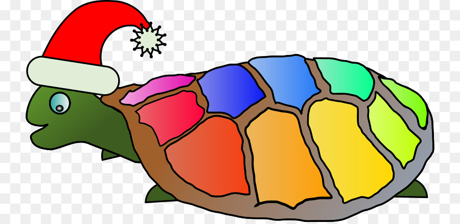 Tortue Colorée，Chapeau De Père Noël PNG