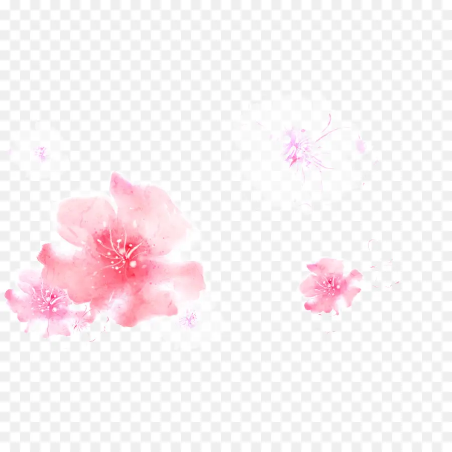 Fleurs Roses，Fleurir PNG