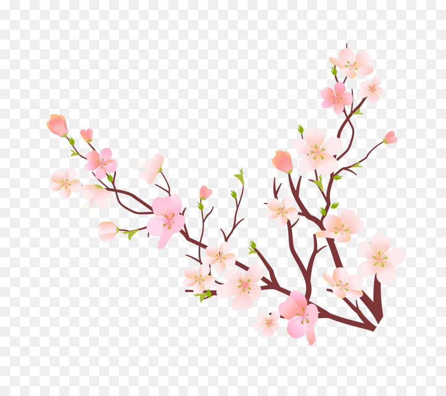 Branche De Fleurs De Cerisier，Fleurs PNG