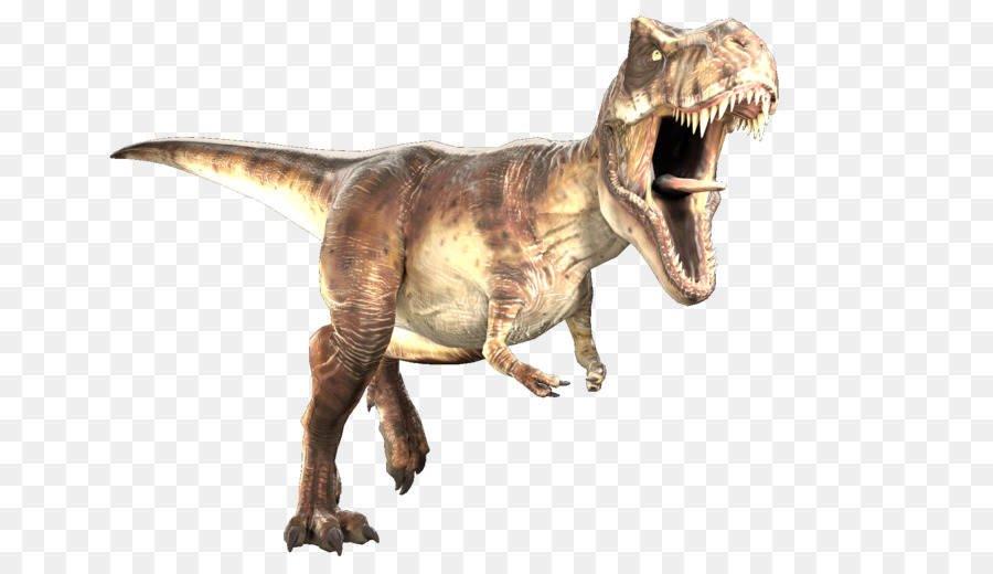 Tyrannosaure Rex，Préhistorique PNG