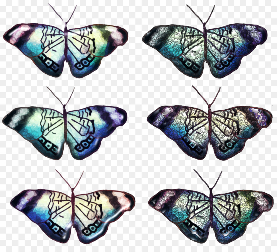 Papillon，Brushfooted Papillons PNG