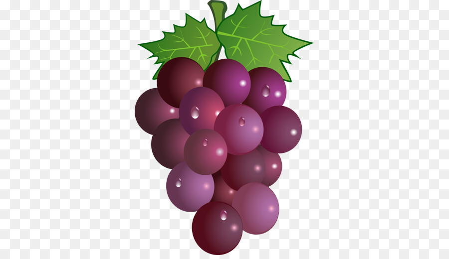 Vin，Raisin PNG