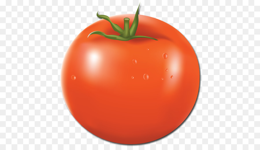 Tomate Prune，Plant De Tomate PNG