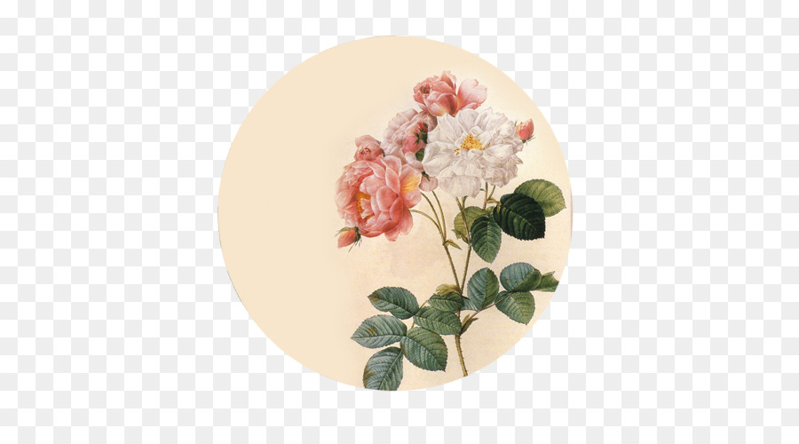 Les Illustrations Botaniques，Design Floral PNG