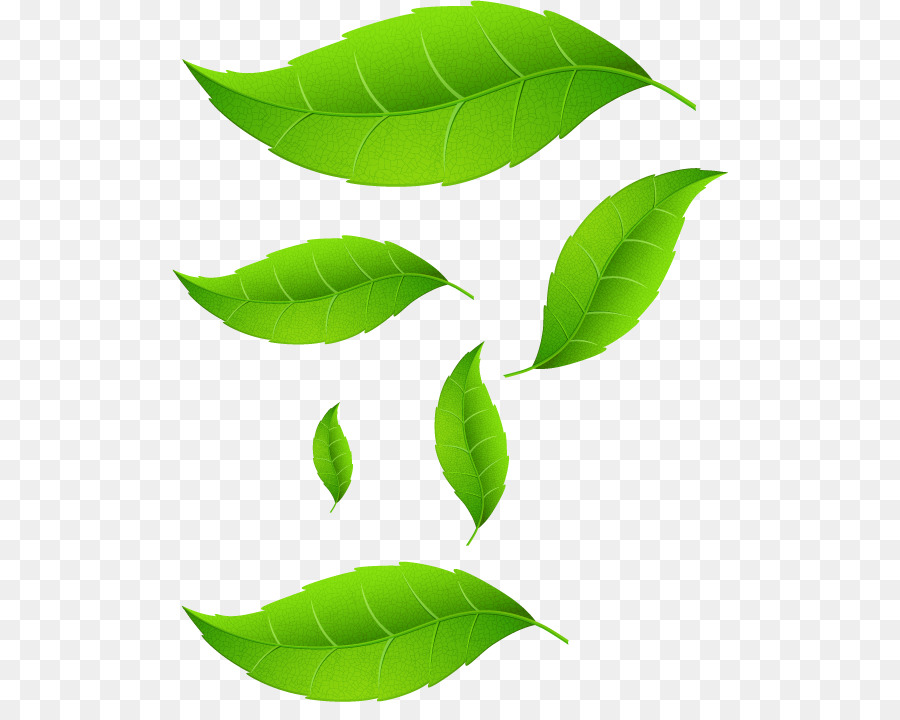 Feuilles Qui Tombent，Vert PNG