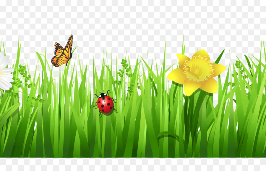 Papillon Et Coccinelle，Herbe PNG