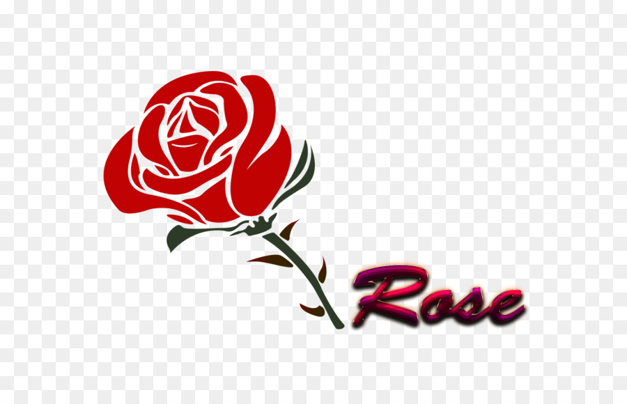 Rose，Fleur PNG