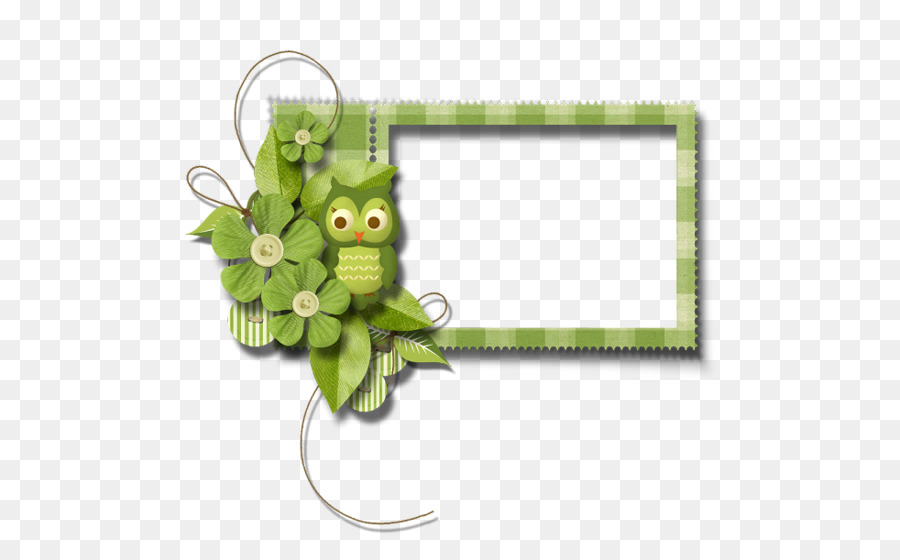 Cadre Hibou Vert，Fleurs PNG