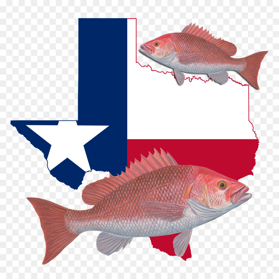 Texas，Carte PNG