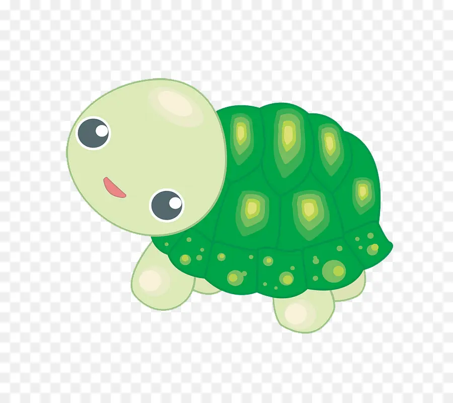 Tortue Mignonne，Reptile PNG