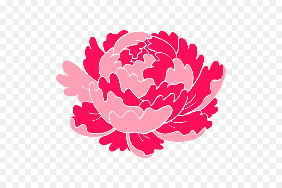 Fleur Rose，Floraison PNG