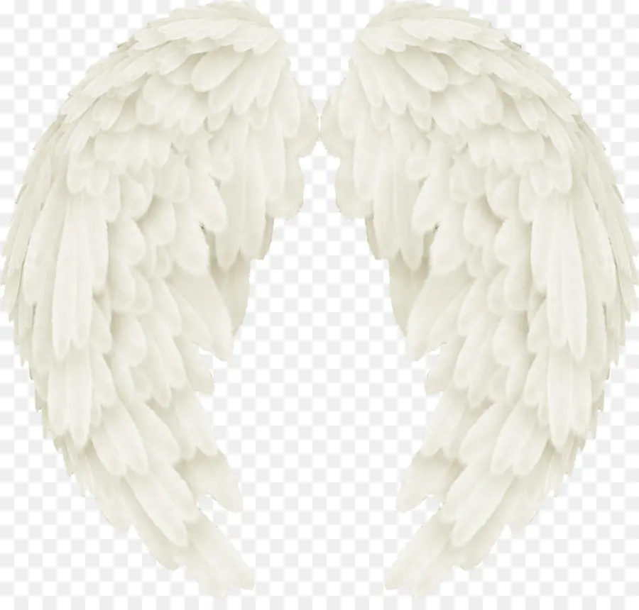 Ailes，Plumes PNG