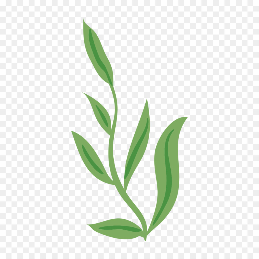 Feuille Verte，Usine PNG