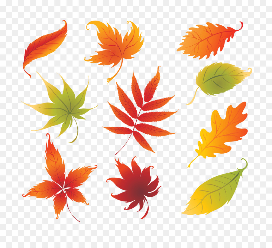 Feuilles D'automne，Automne PNG