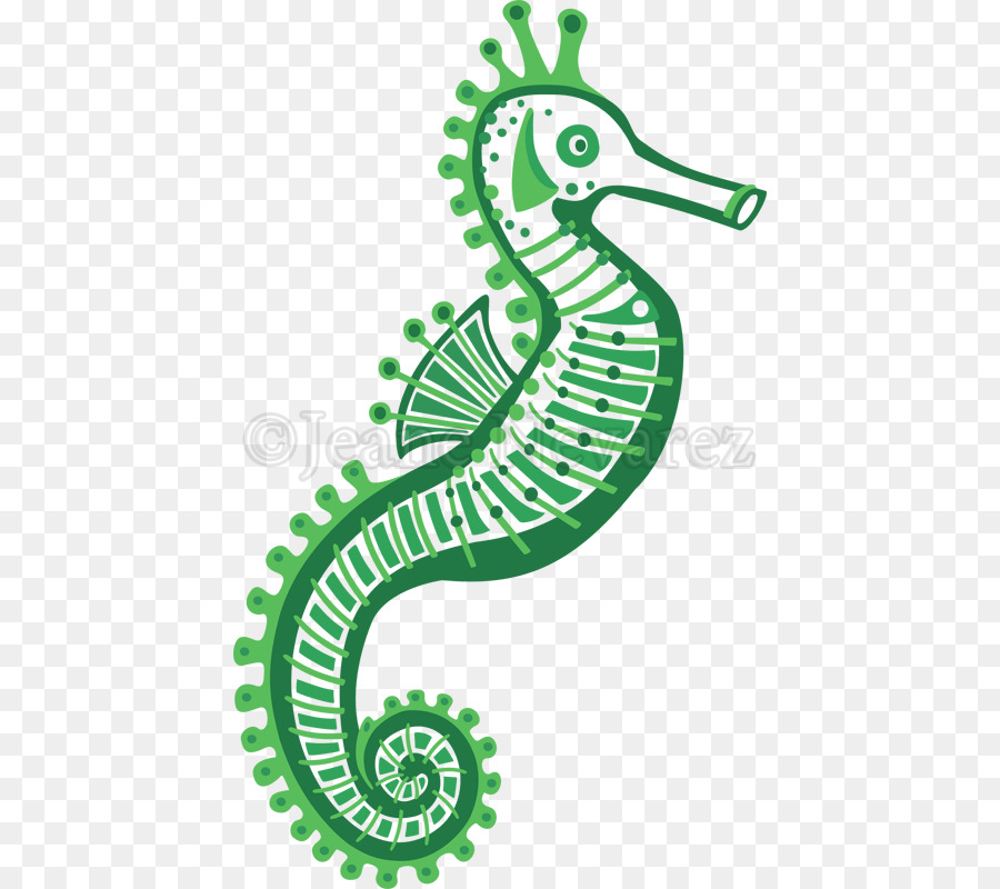 Hippocampe，Royaltyfree PNG