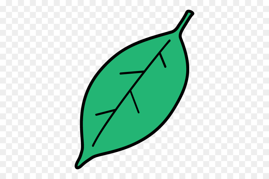 Feuille，Vert PNG