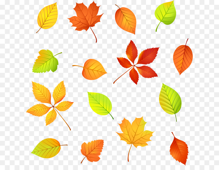 Feuilles，Automne PNG