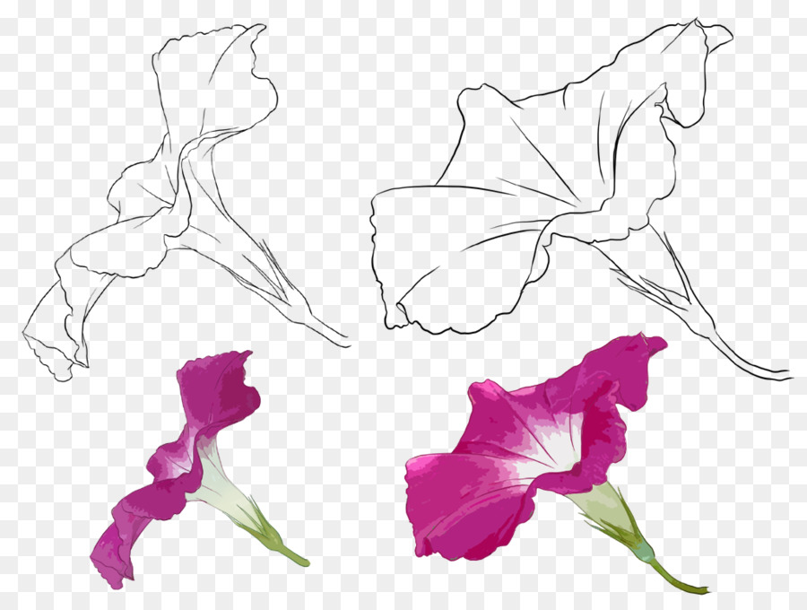 Design Floral，Dessin PNG