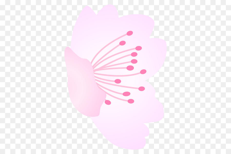 Rose M，M Papillon PNG