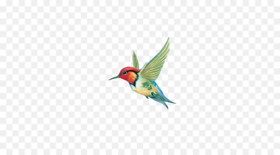 Colibri，Vol PNG