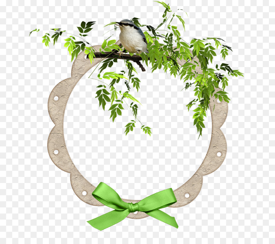 Cadre Décoratif，Vert PNG