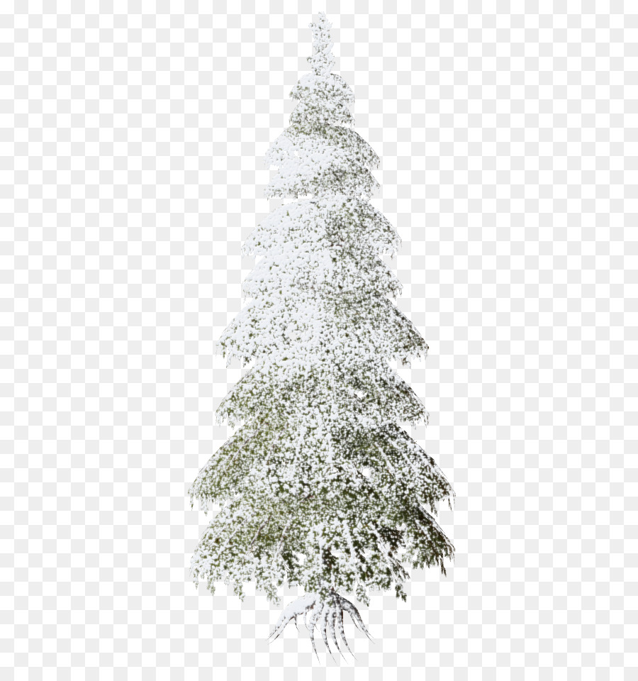 Arbre Enneigé，Hiver PNG