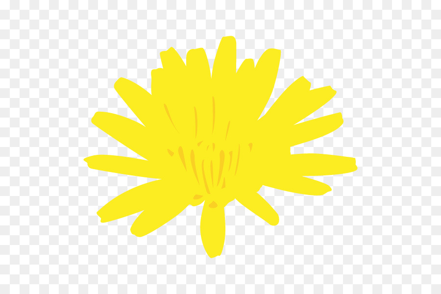 Chrysanthème，Tournesol PNG