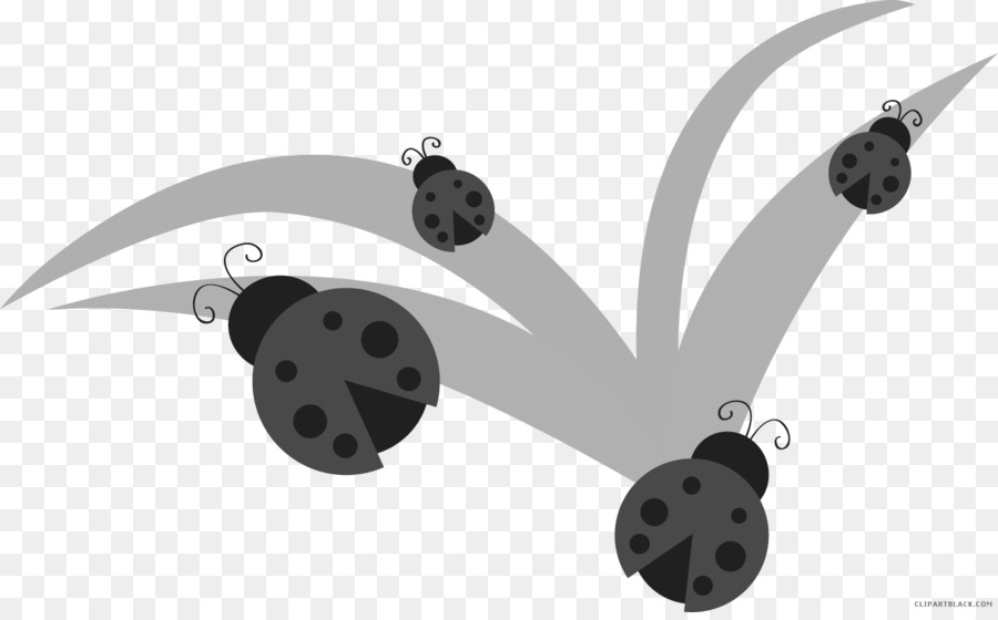 Coccinelles，Herbe PNG