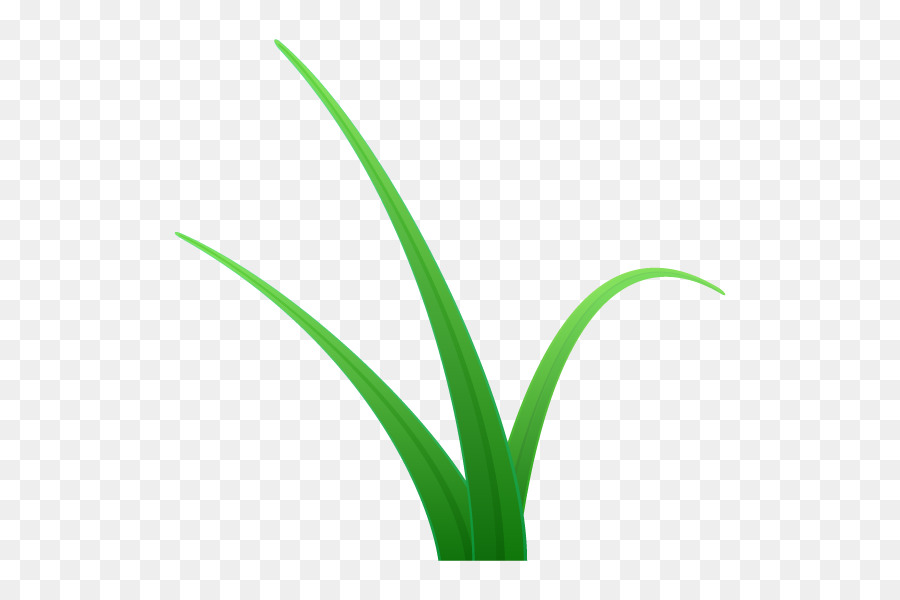 Plante Verte，Feuilles PNG