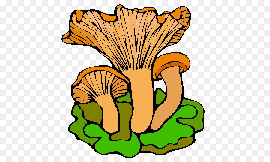 Amanite Tue Mouches，Champignon PNG