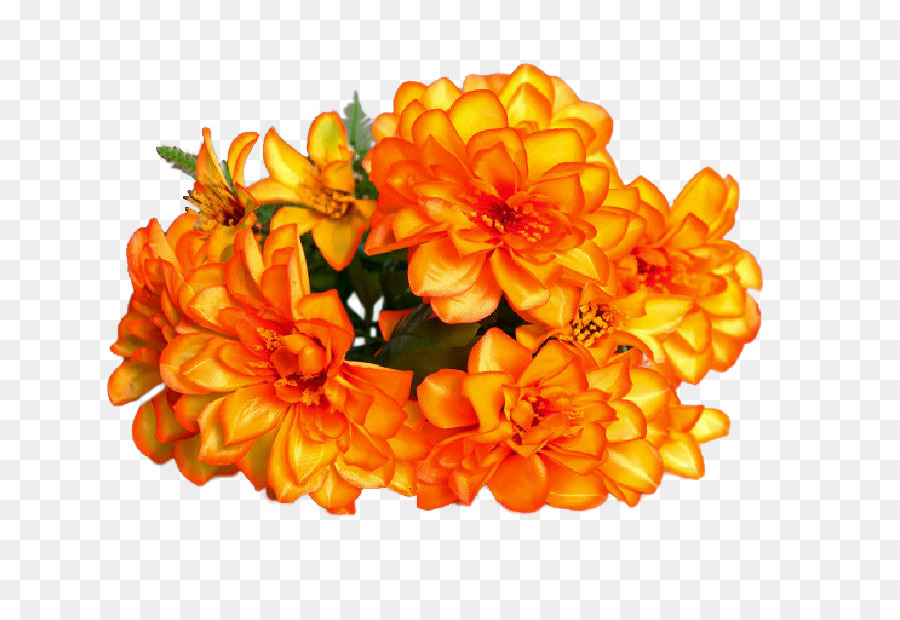 Fleurs Oranges，Feuilles PNG