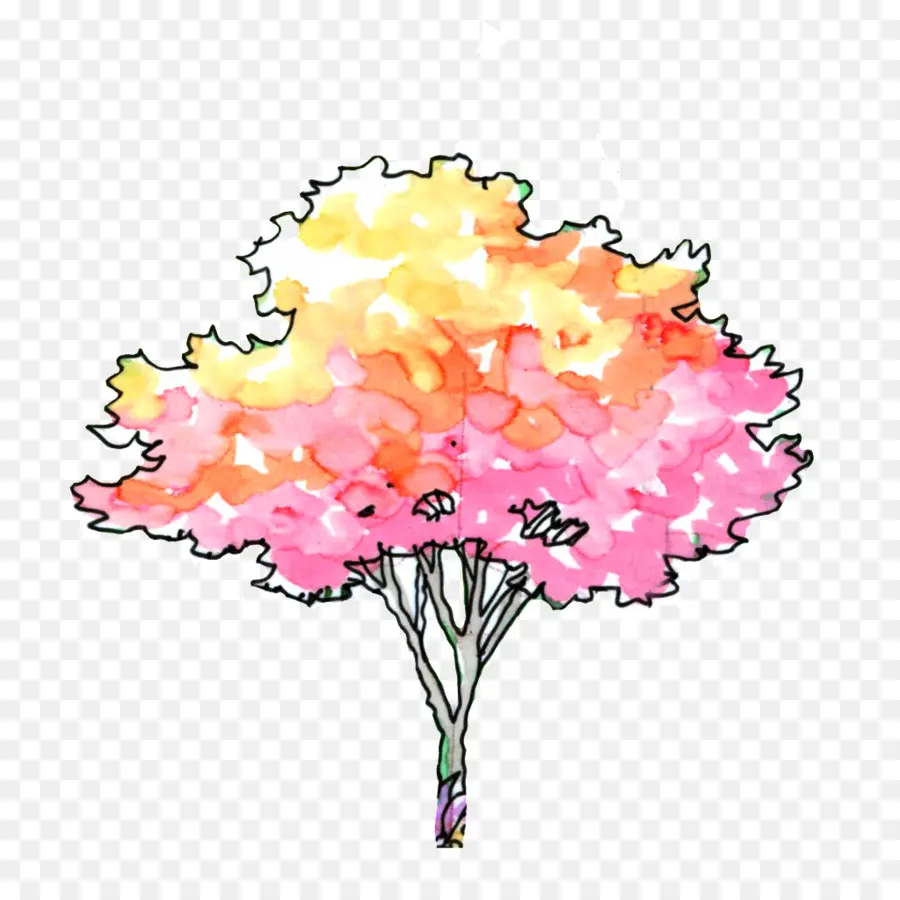 Arbre Coloré，Aquarelle PNG