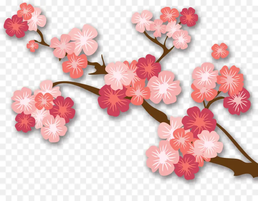 Fleurs De Cerisier，Fleurs PNG