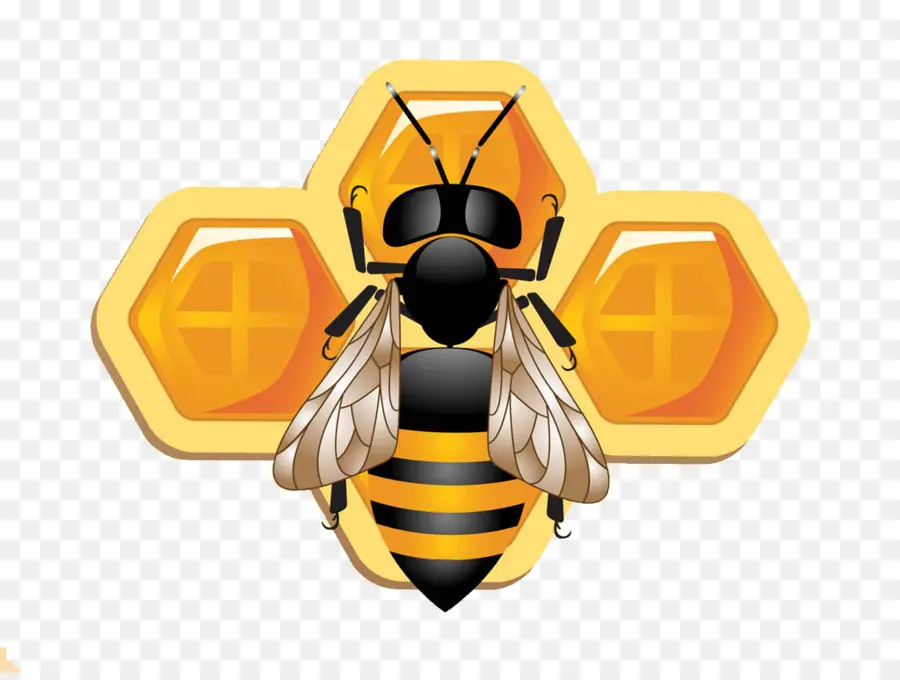 Abeille，Rayon De Miel PNG