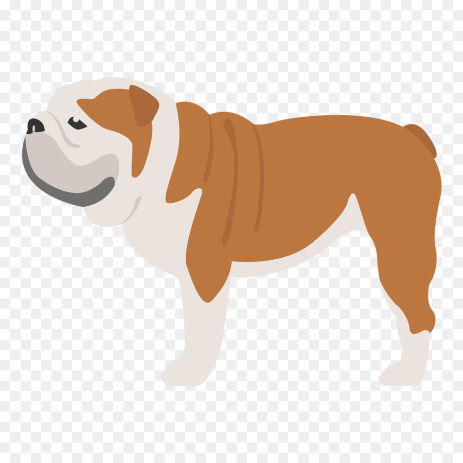 Vieux Bouledogue Anglais，Bouledogue PNG