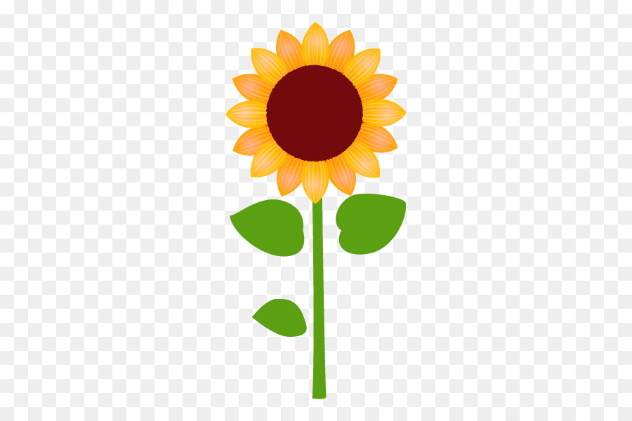 Tournesols，Arc En Ciel PNG