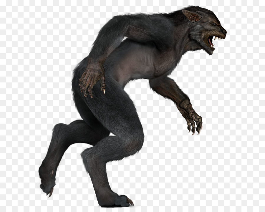 Loup Garou，Fourrure Noire PNG