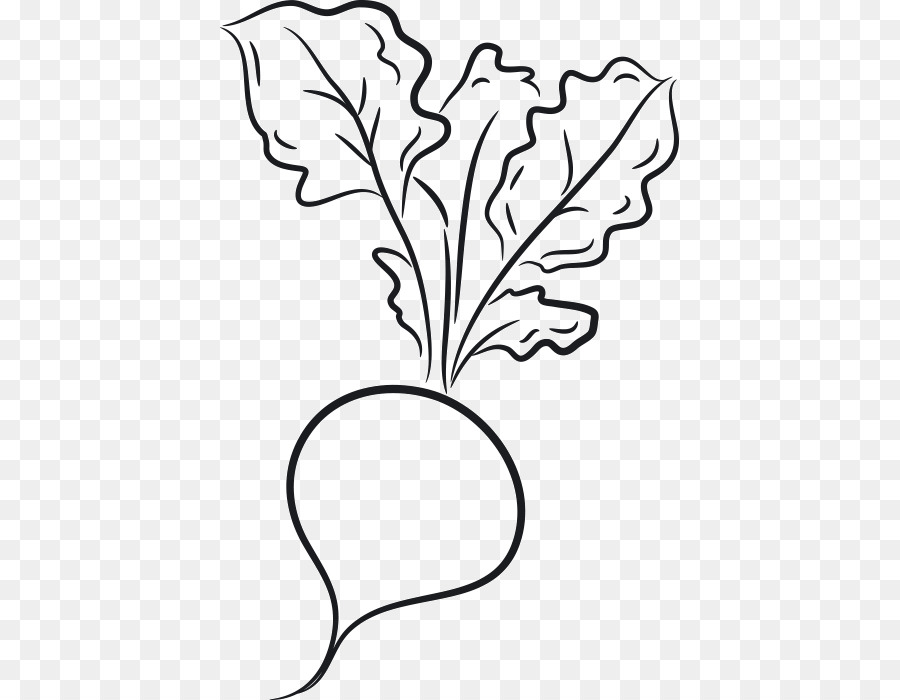 Dessin，Légumes PNG