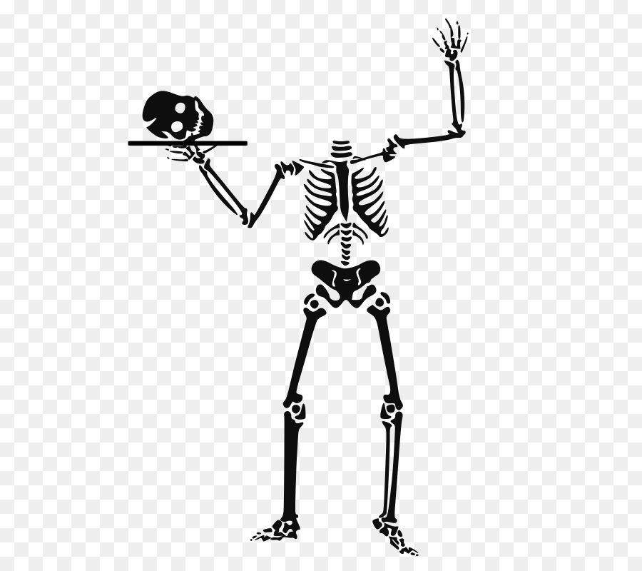 Squelette，Crâne PNG