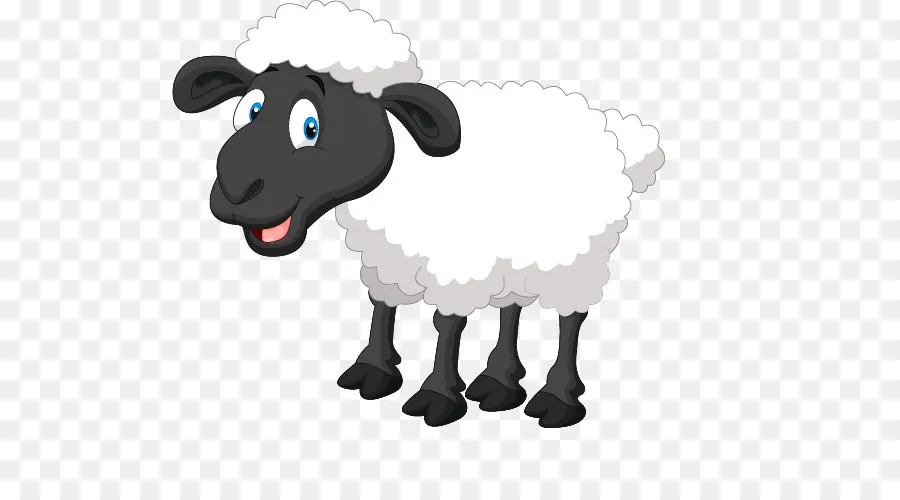 Les Moutons，La Photographie De Stock PNG