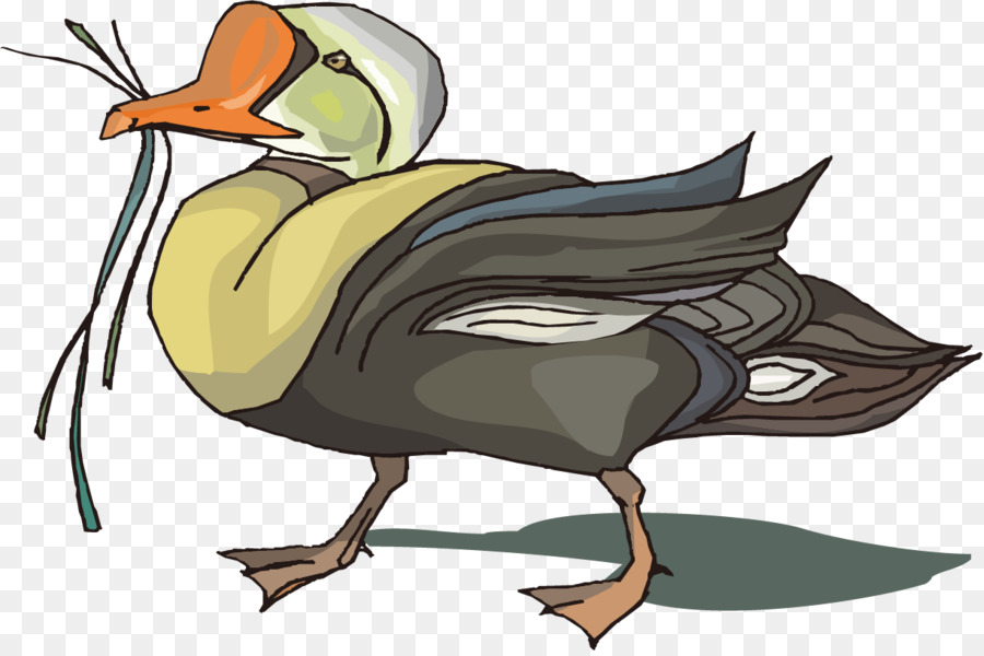 Canard，Dessin Animé PNG