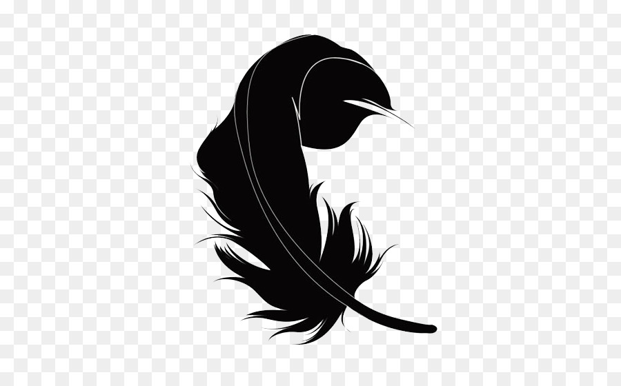 Plume，Noir PNG