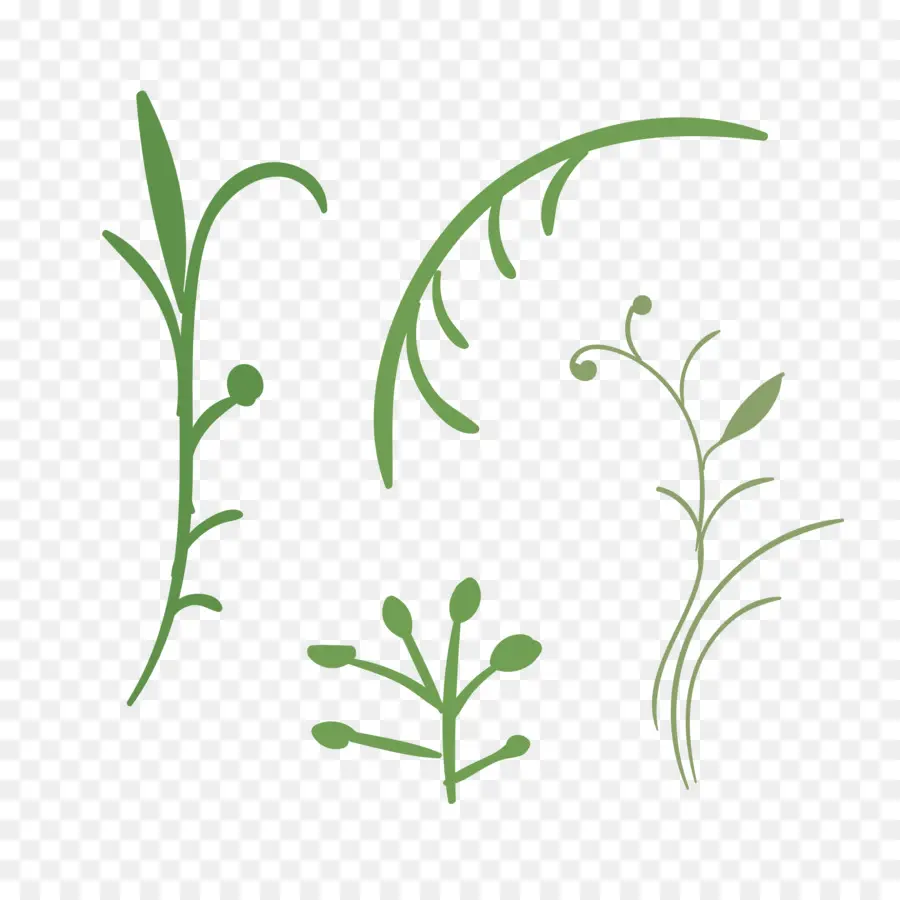 Plantes，Feuilles PNG